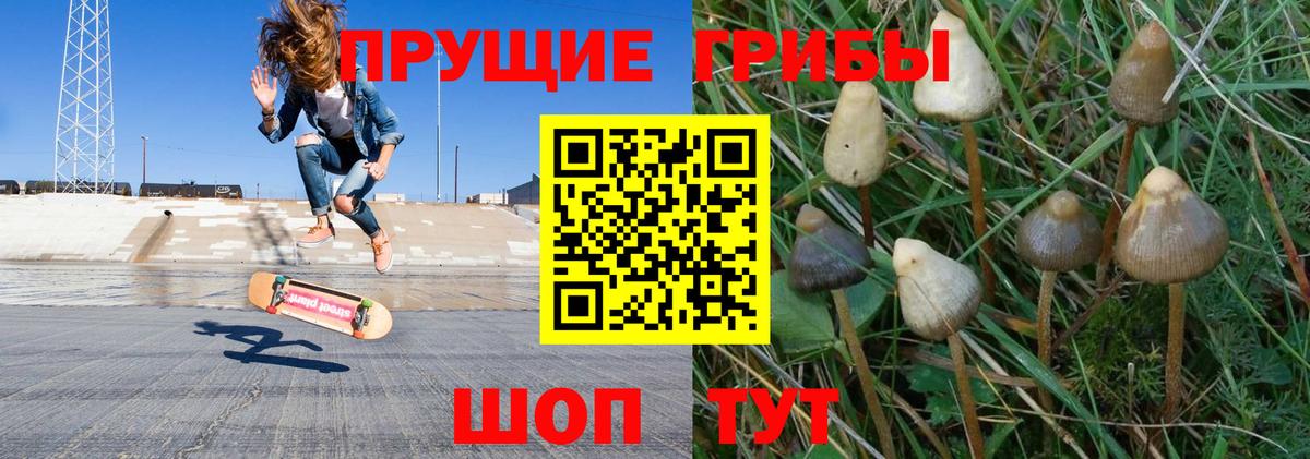 Псилоцибиновые грибы Cubensis  Вход с VPN  Галлюциногенные грибы мухоморы  Реж 